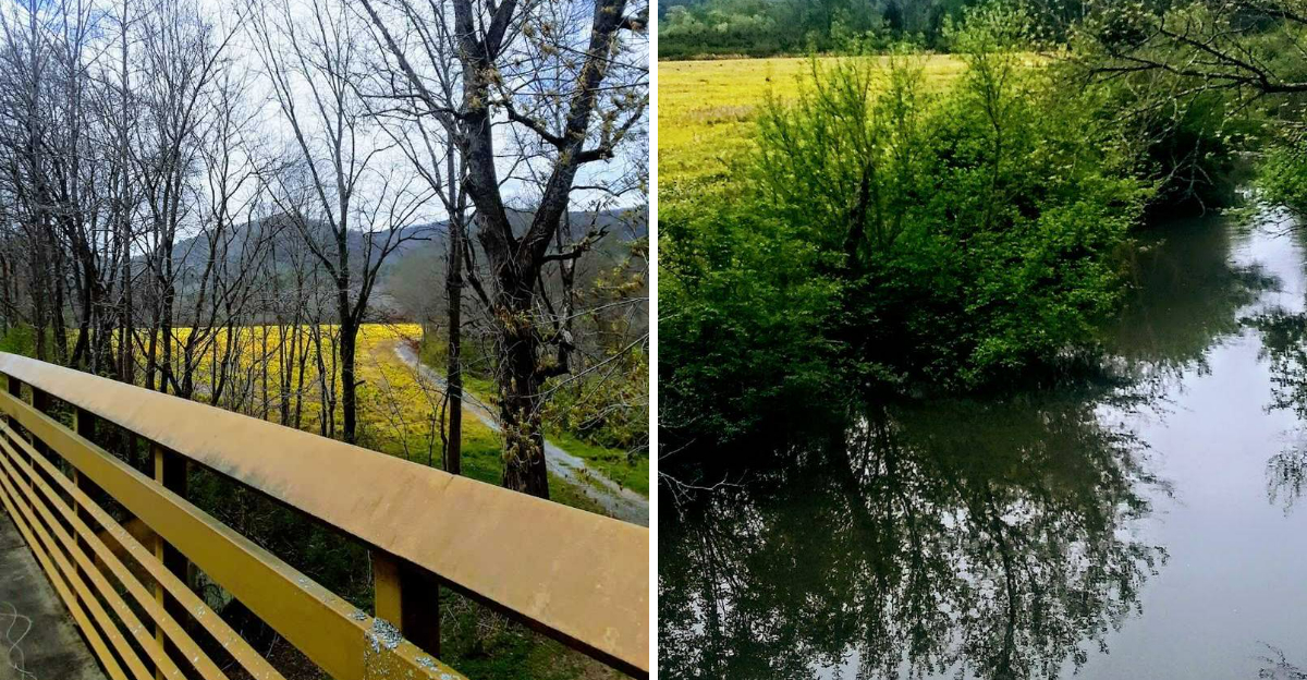 This Scenic Alabama Bike Trail Features Nearly 40 Miles Of Peaceful Rail Trail Riding - Decor Hint