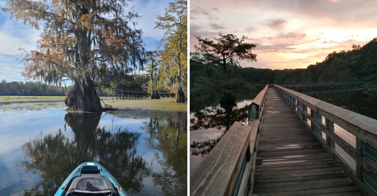 This Scenic Louisiana Destination Is The Reset Youve Been Looking For - Decor Hint
