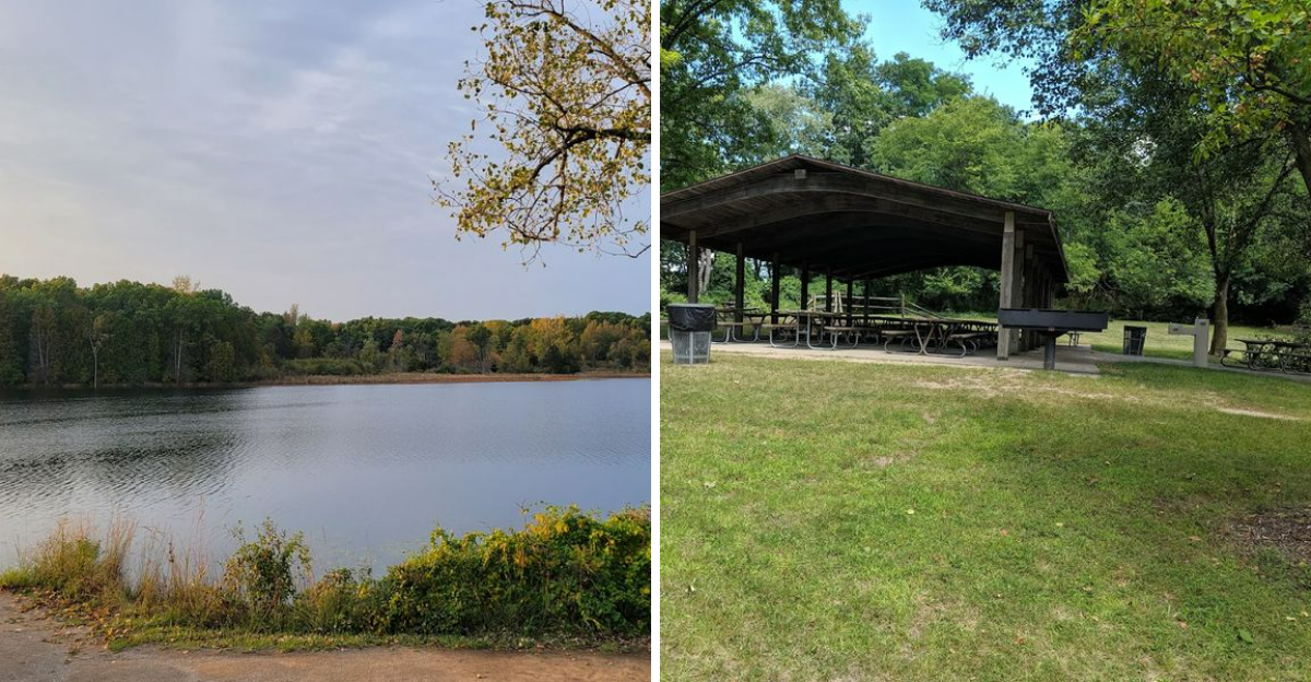 This Scenic Michigan Boardwalk Feels Like A Walk Through Another World - Decor Hint