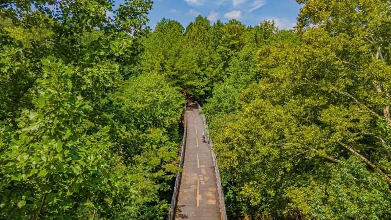 A Canopy Of Trees That Actually Blocks The Summer Heat