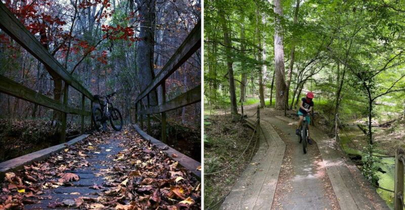 This Spectacular Georgia Destination Boasts Unmatched Hidden Bike Trails
