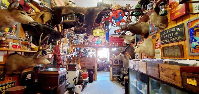 This Spooky Curiosity Shop In Idaho Feels Like Wandering Through A Haunted Attic - Decor Hint Wallace Sets The Spooky Scene