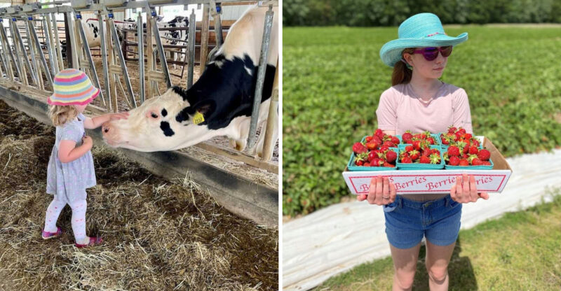 This Sprawling Maine Farm Is A Full Day Of Family Fun