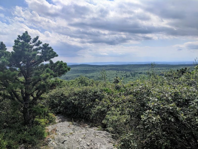 A Big View In Salisbury