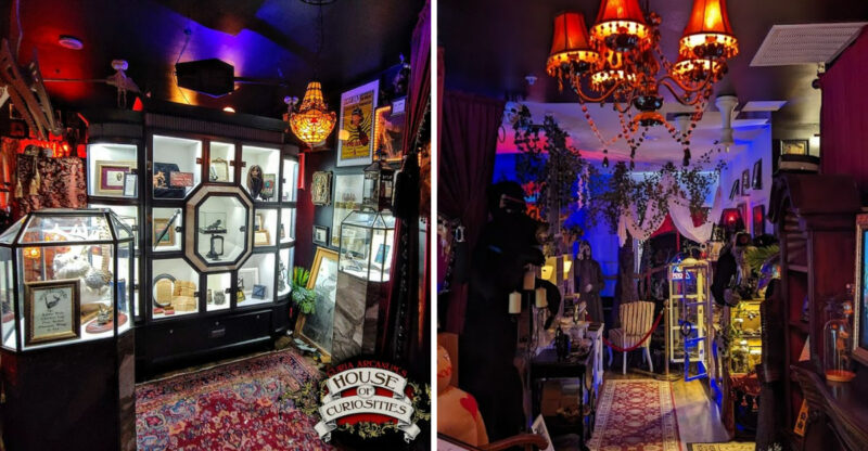 This Texas Curiosity Shop Is Packed With Finds You Never Expected To See