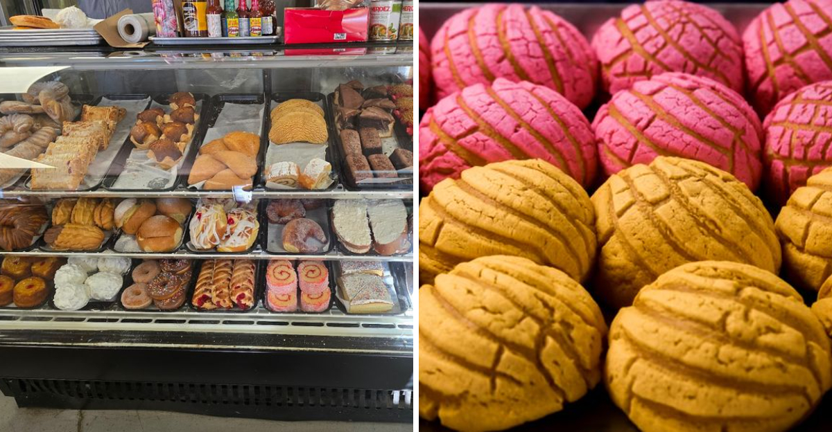 This Tiny Colorado Mexican Bakery Serves Conchas Worth The Drive - Decor Hint
