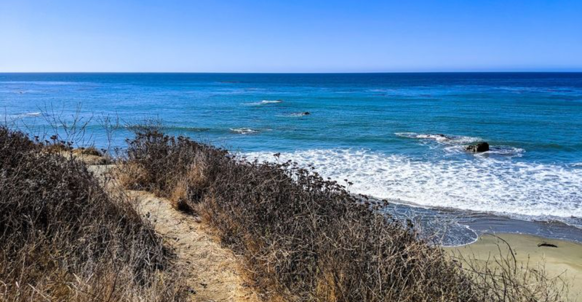 This Tiny State Park In California Will Melt All Your Stress Into Calm - Decor Hint