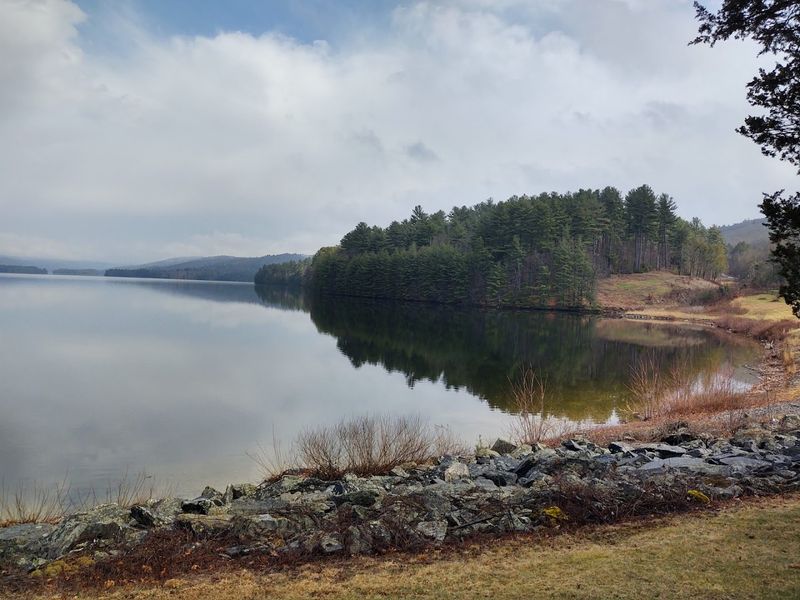 Deep Forest Roads And Quiet Views