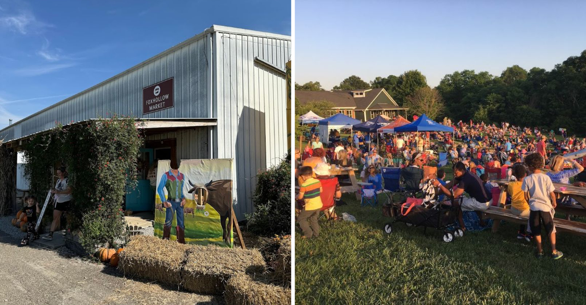 This Unassuming Kentucky Farm Is Quietly Leading A Revolution In American Agriculture - Decor Hint