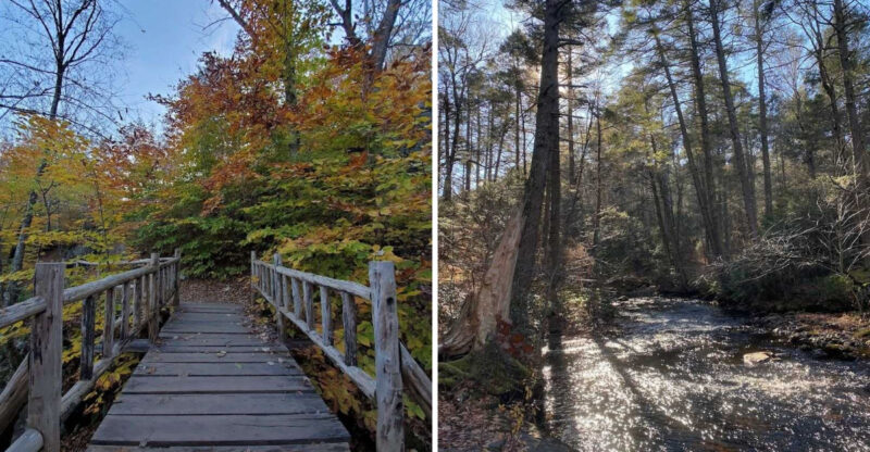 This Under-The-Radar Connecticut State Park Is Packed With Trails Worth Wandering