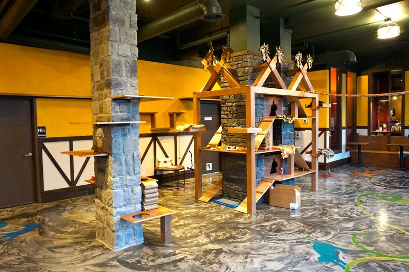 This Washington Cat Café Lets You Sip Something Cozy While Rescue Cats Steal Your Heart - Decor Hint Welcome To A Cozy Hangout