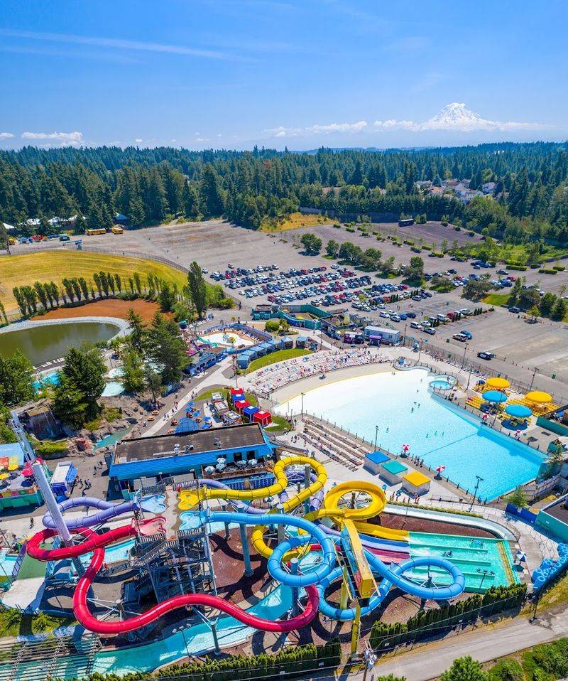 The Wave Pool That Sets The Tone