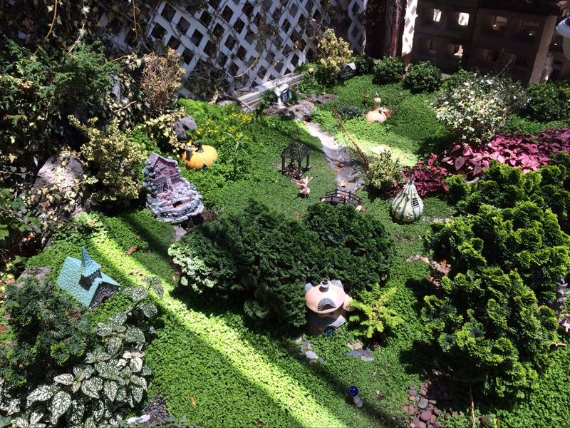 This Whimsical California Nursery Feels Like A Fairy Tale Garden Market - Decor Hint Miniature Gardens Steal The Show Fast