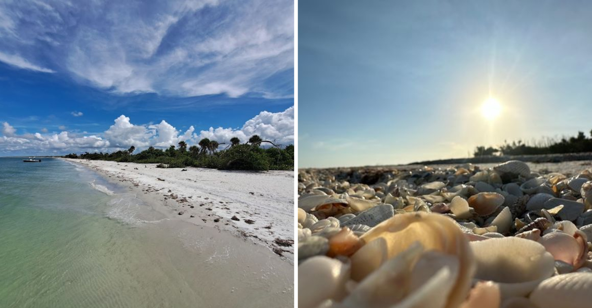 This Wonderful Florida Beach Is Like A Secret Paradise - Decor Hint