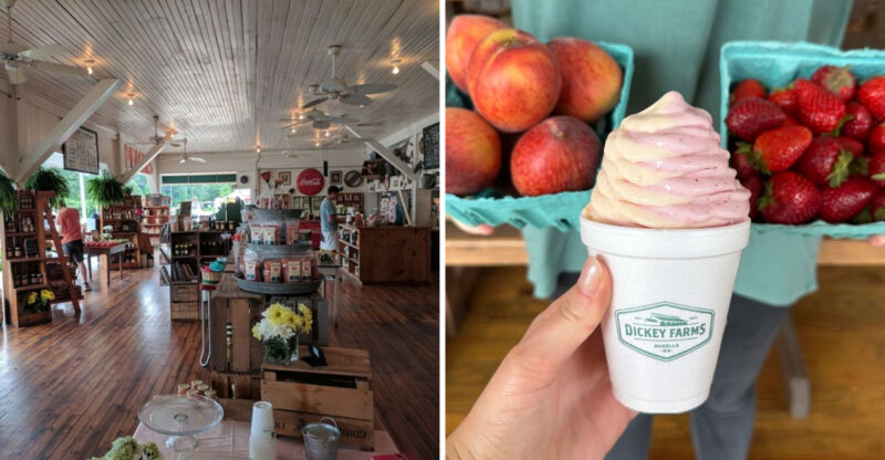Three Generations Of One Beloved Georgia Family Have Been Selling Peach Swirl Ice Cream Off The Same Road