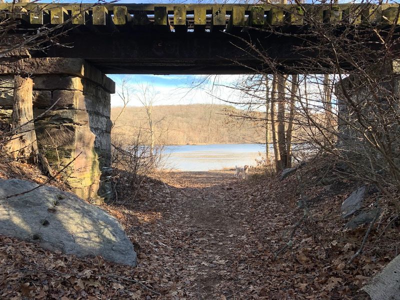 These Peaceful Connecticut Loop Trails Feel Like A Hidden Woodland Escape - Decor Hint Gentle Terrain For Casual Hikers