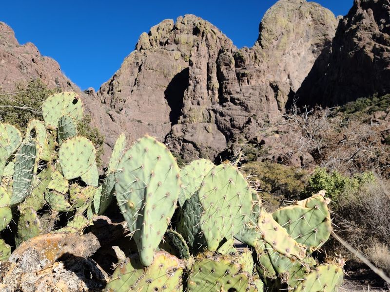 The New Mexico Hike Where A Desert Spring And Forgotten Ruins Wait At The End - Decor Hint Wildlife You Might Meet Along The Way