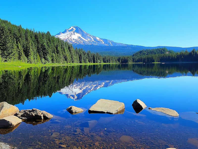 11 Oregon Mountain Views That Feel Almost Too Beautiful To Be Real - Decor Hint Trillium Lake