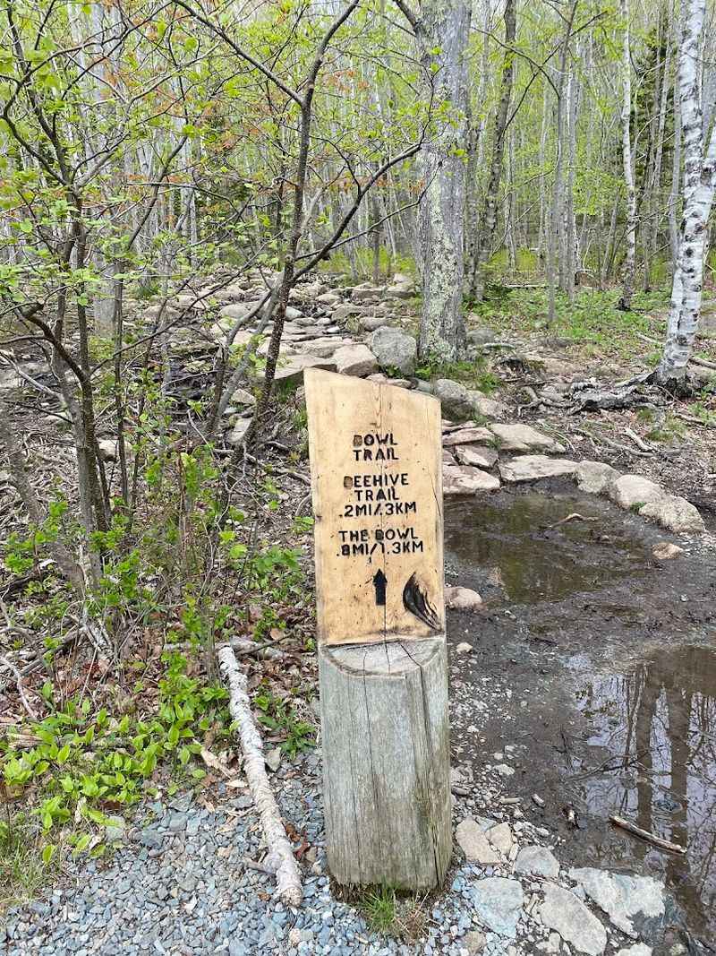 This Breathtaking Maine Trail Is A Must For Any Adventure In The State - Decor Hint The History Behind This Legendary Acadia Trail