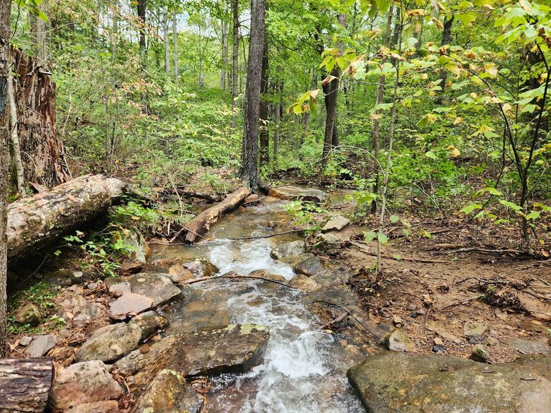 Dragon's Tooth, Jefferson National Forest, Roanoke/Craig County Border