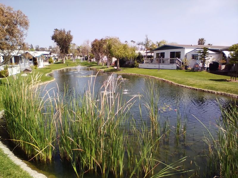 Carlsbad Village Makes The Setting Feel Unexpected