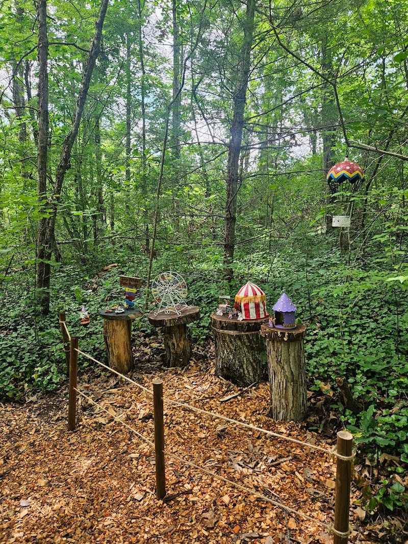 The Woodland Trail Feels Like It Has Secrets