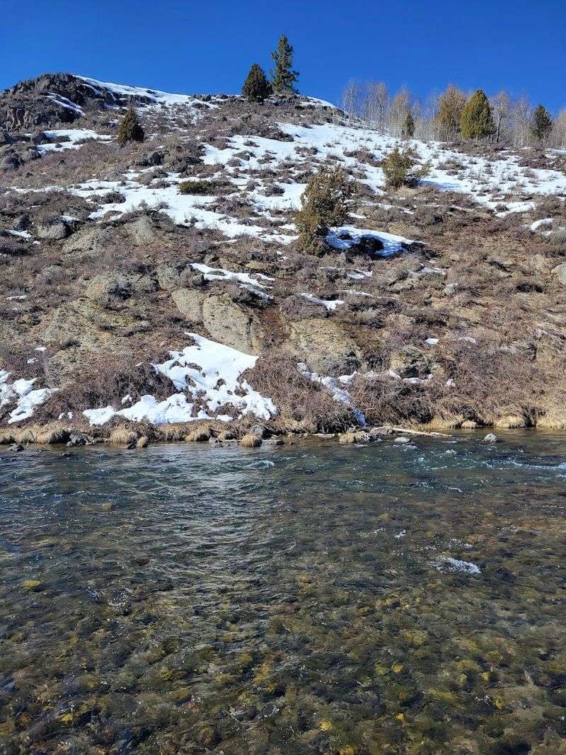 Fishing Lines And Riverbanks Keep The Visit Simple