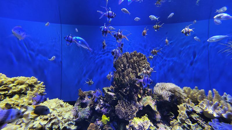 Toledo Zoo Aquarium