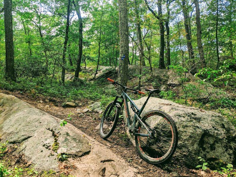 Sterling Forest State Park, Tuxedo 