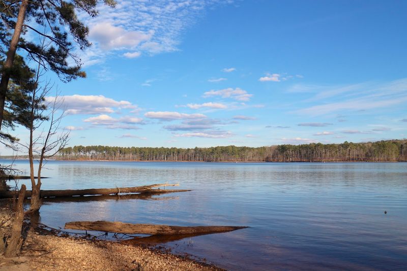 New Hope Overlook Trail