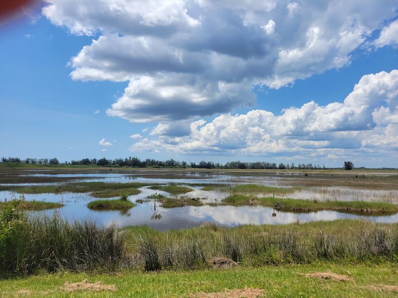10 Florida Trails Where Easy Walks Lead To Surprisingly Unforgettable Views - Decor Hint Big Cypress National Preserve Backcountry Trail