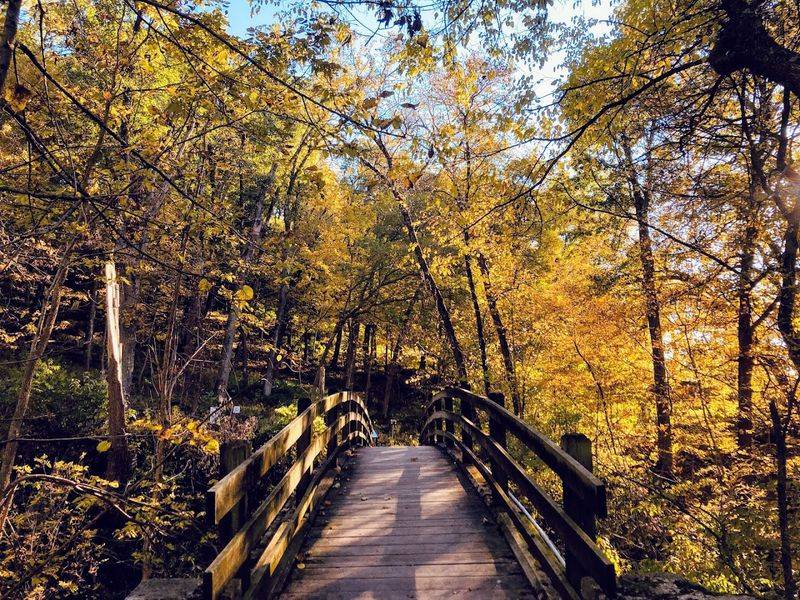 A Trail System That Feels Like Your Own Private Adventure