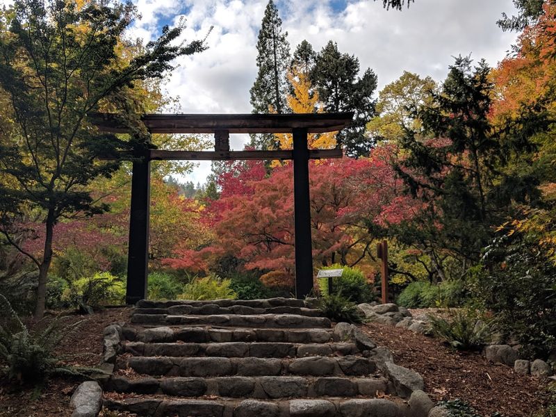 Lithia Park Is Quietly Spectacular