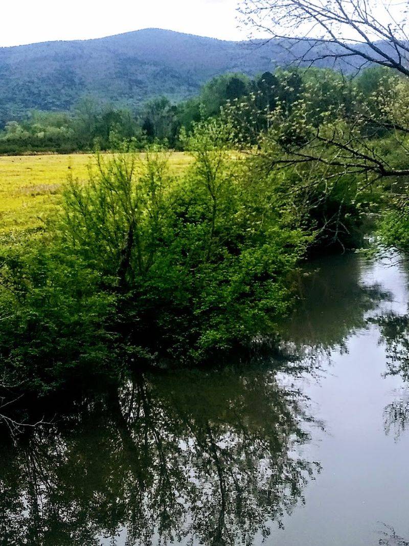 Wildlife And Nature Encounters On The Trail