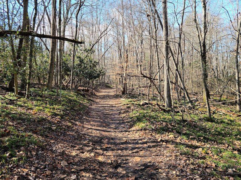 This Little-Known North Carolina Town Makes A Two-Hour Drive Feel Completely Worth It - Decor Hint The Mountains-To-Sea Trail Runs Right Through The Story