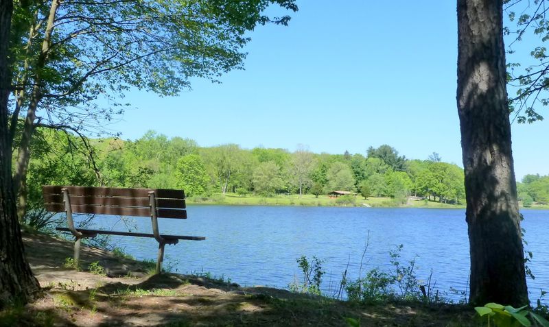 Bring A Kayak Or Rowboat