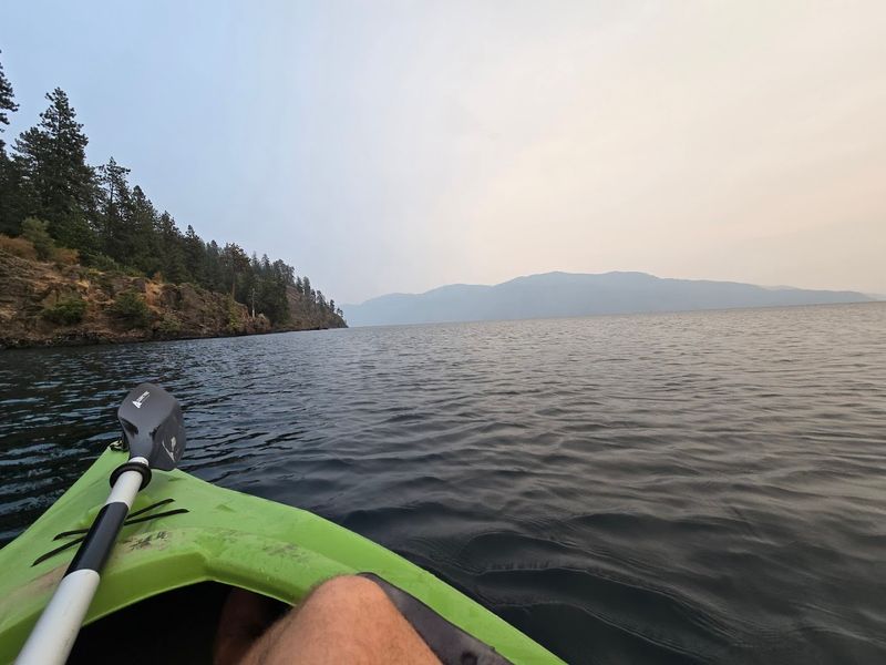 Paddling The Calm Cove