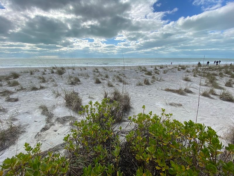 Lemon Bay Views That Remind You Florida Has Two Sides