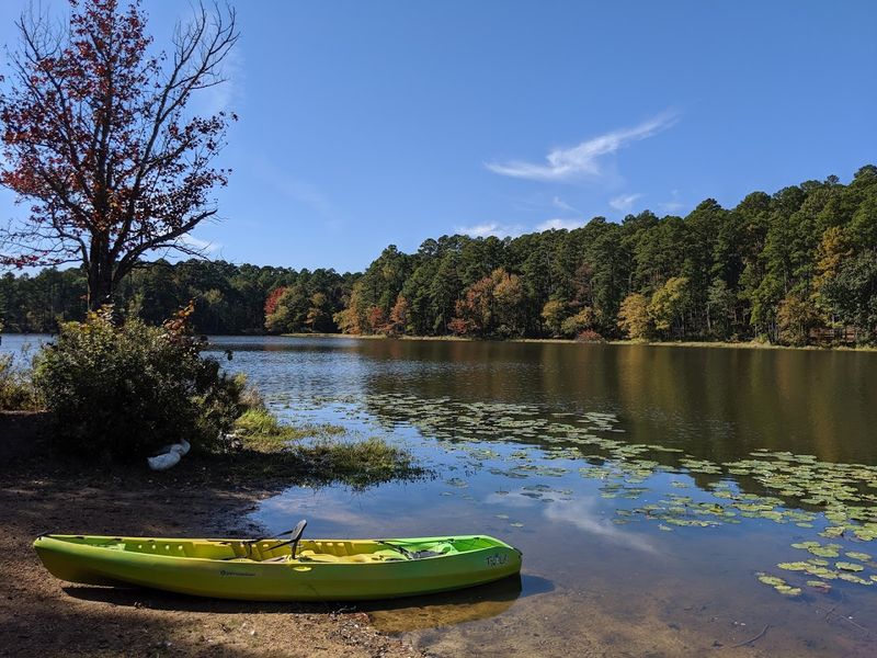 Paddling The Quiet Water
