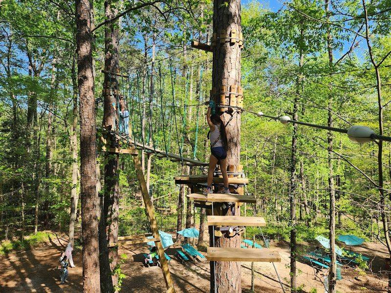 12 Georgia Summer Day Trips That Feel Like Mini Vacations Without Passing $50 - Decor Hint Treetop Quest Dunwoody Adventure Park And Ziplines