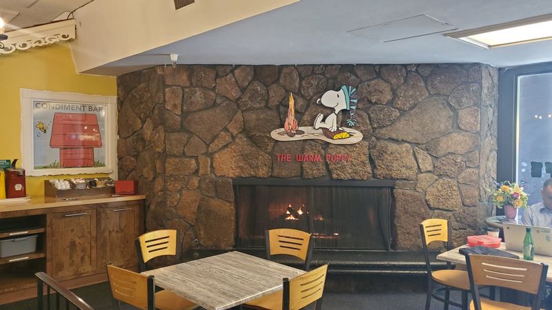 Grab Cocoa At The Warm Puppy Cafe