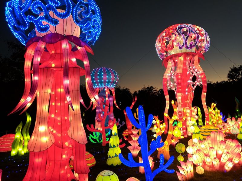 Daniel Stowe Botanical Garden