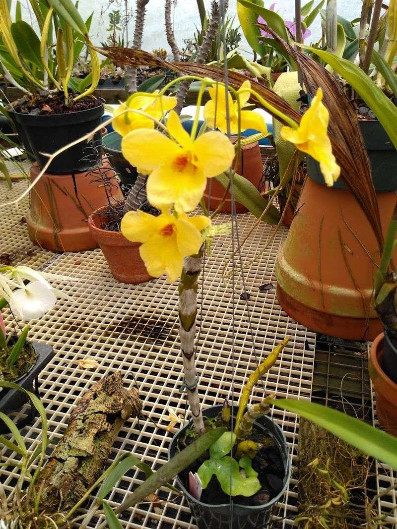 Call Ahead If You Want A Weekday Greenhouse Visit