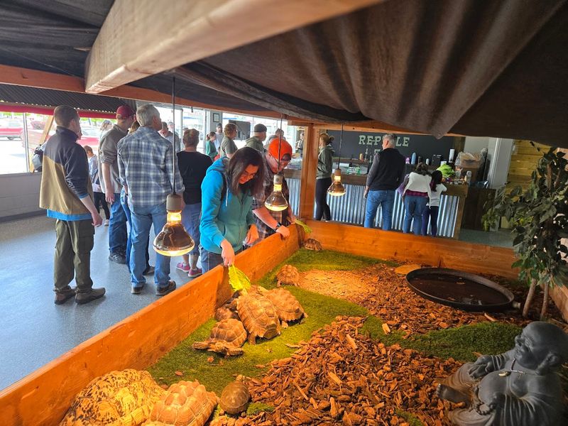 Idaho Reptile Zoo