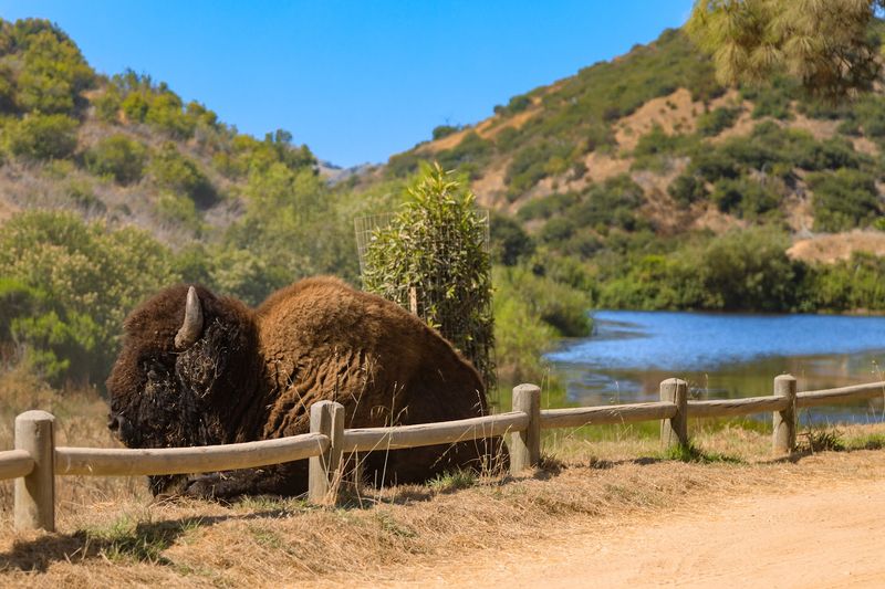The Story Has A Real Conservation Twist
