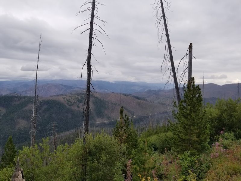 The Idaho Backcountry Road That Climbs Nearly 9,000 Feet And Feels Miles From Everything - Decor Hint High Ridges Bring The Route Into Serious Mountain Country