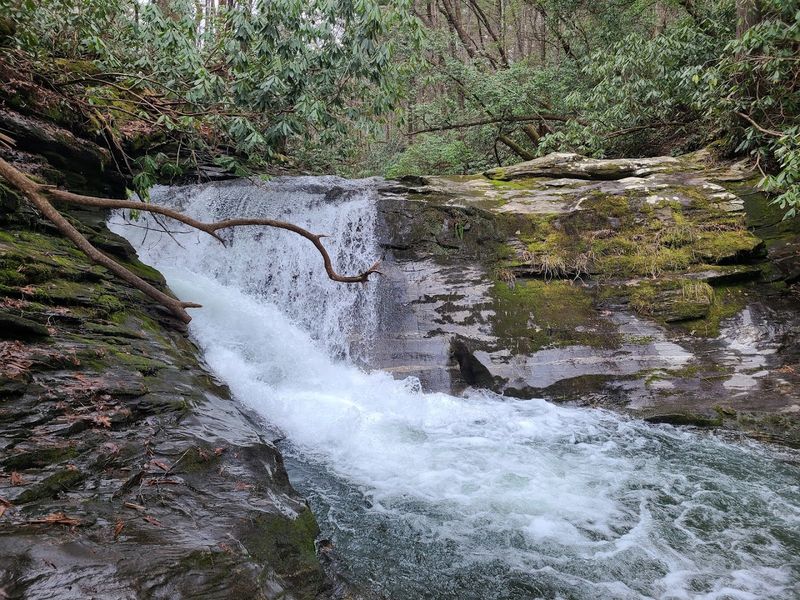 Blue Hole Falls Has A Swimming Spot You Will Love