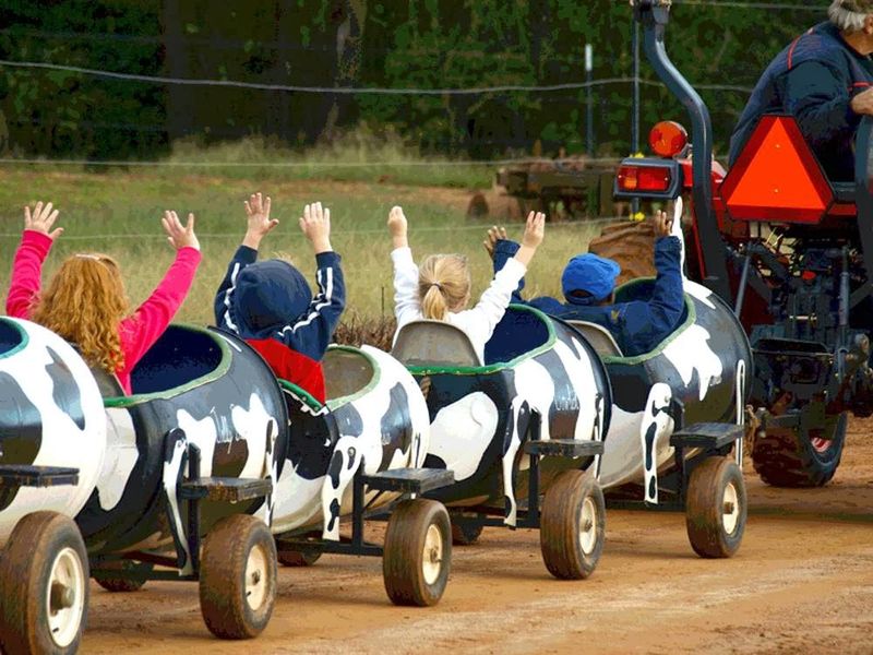 Car Racing That Gets The Competitive Spirit Going