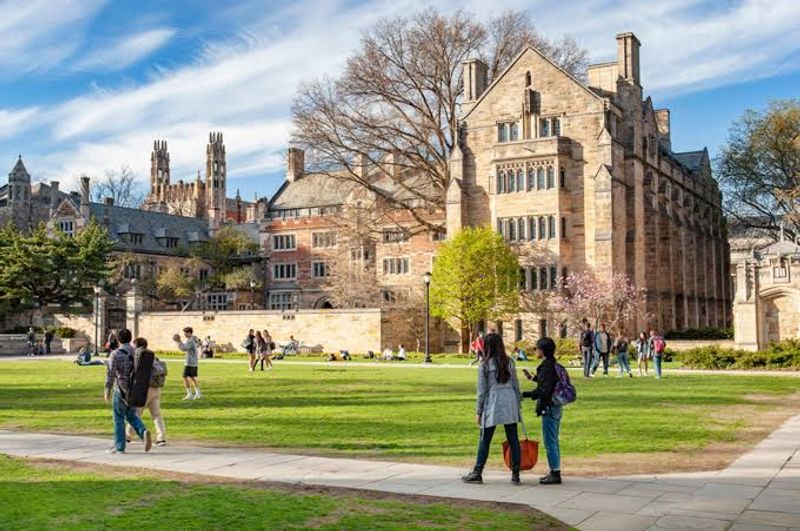 Yale University, New Haven