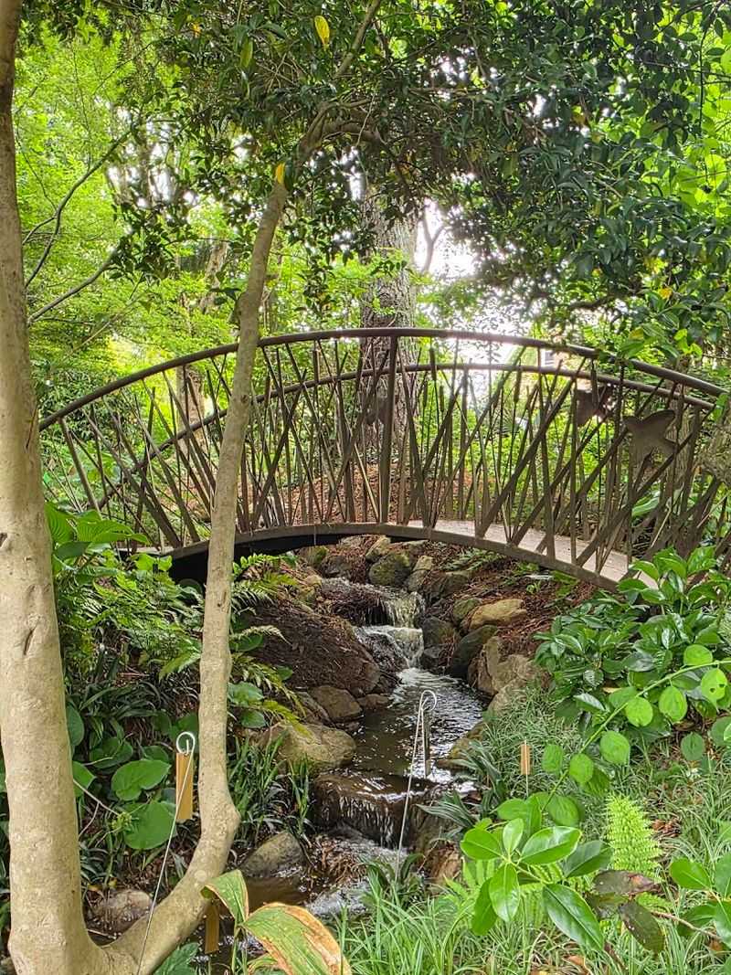 You Leave With A New Definition Of Backyard Goals